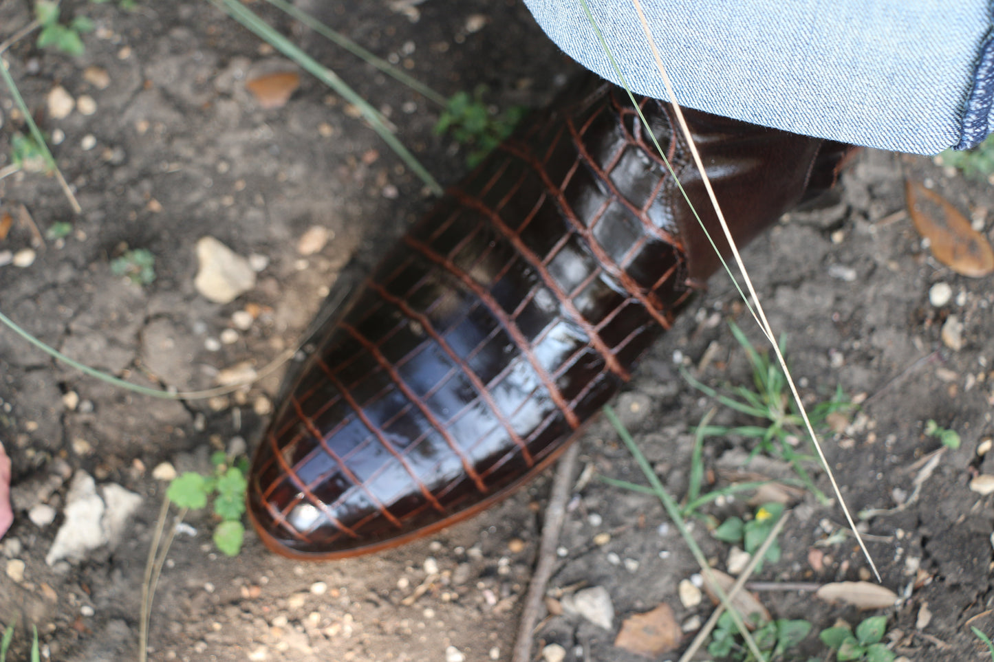 Gator Tall Boots SHOES Mario Garcia