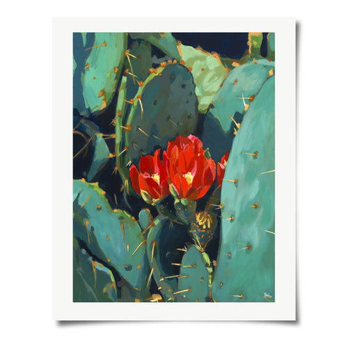 Prickly Pear Blossom Print Art Print Sarah Heinbaugh