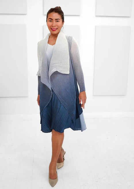 Alquema Short Collare Coat & Estrella Dress Matching Set - Marshmello to Indigo Coat Alquema