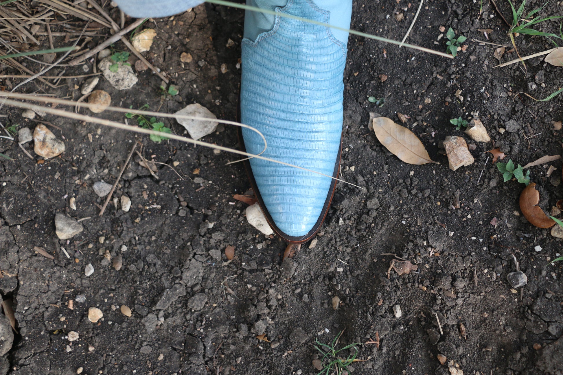 Lizard Tall Boots SHOES Mario Garcia