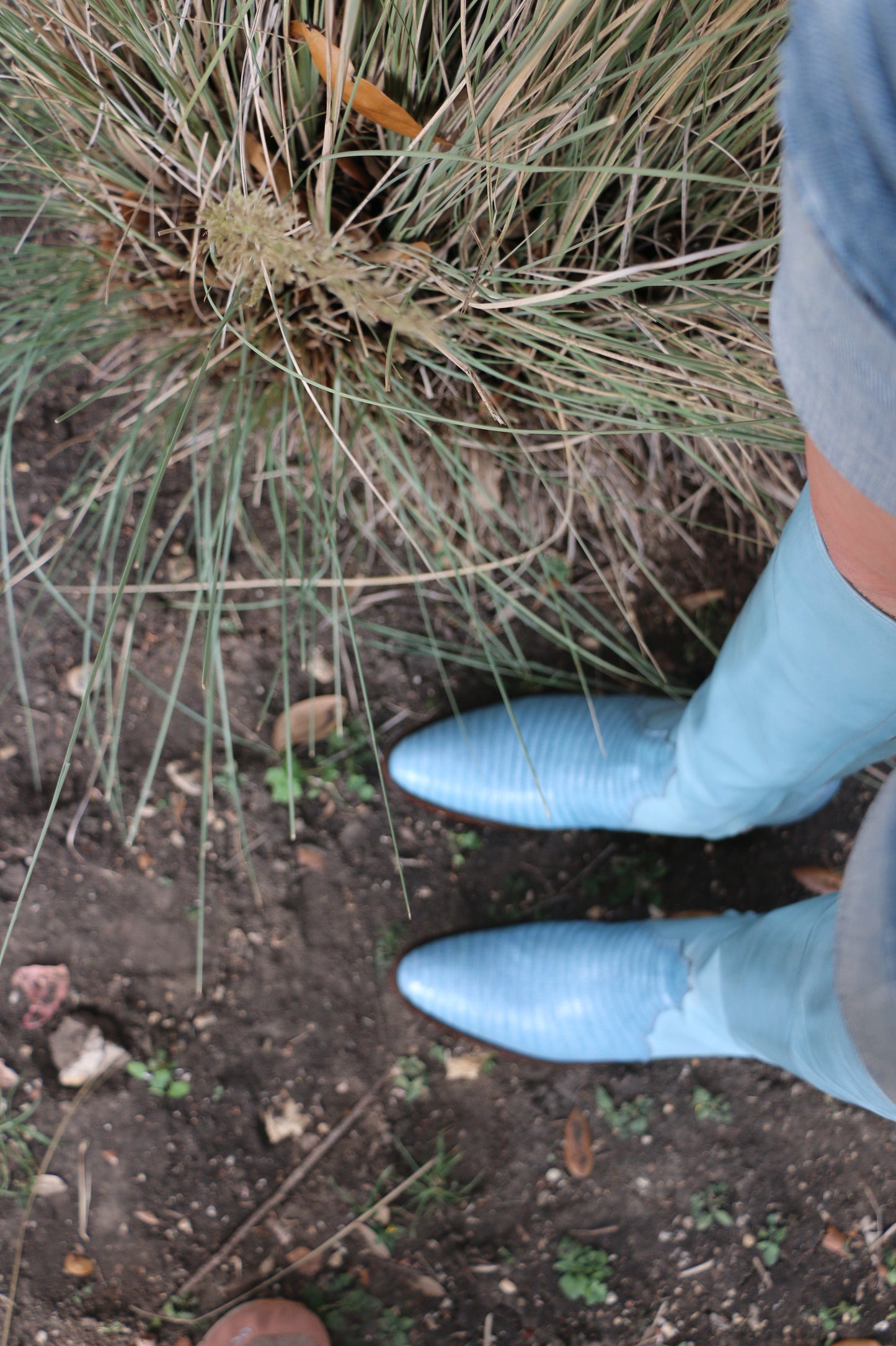 Lizard Tall Boots SHOES Mario Garcia