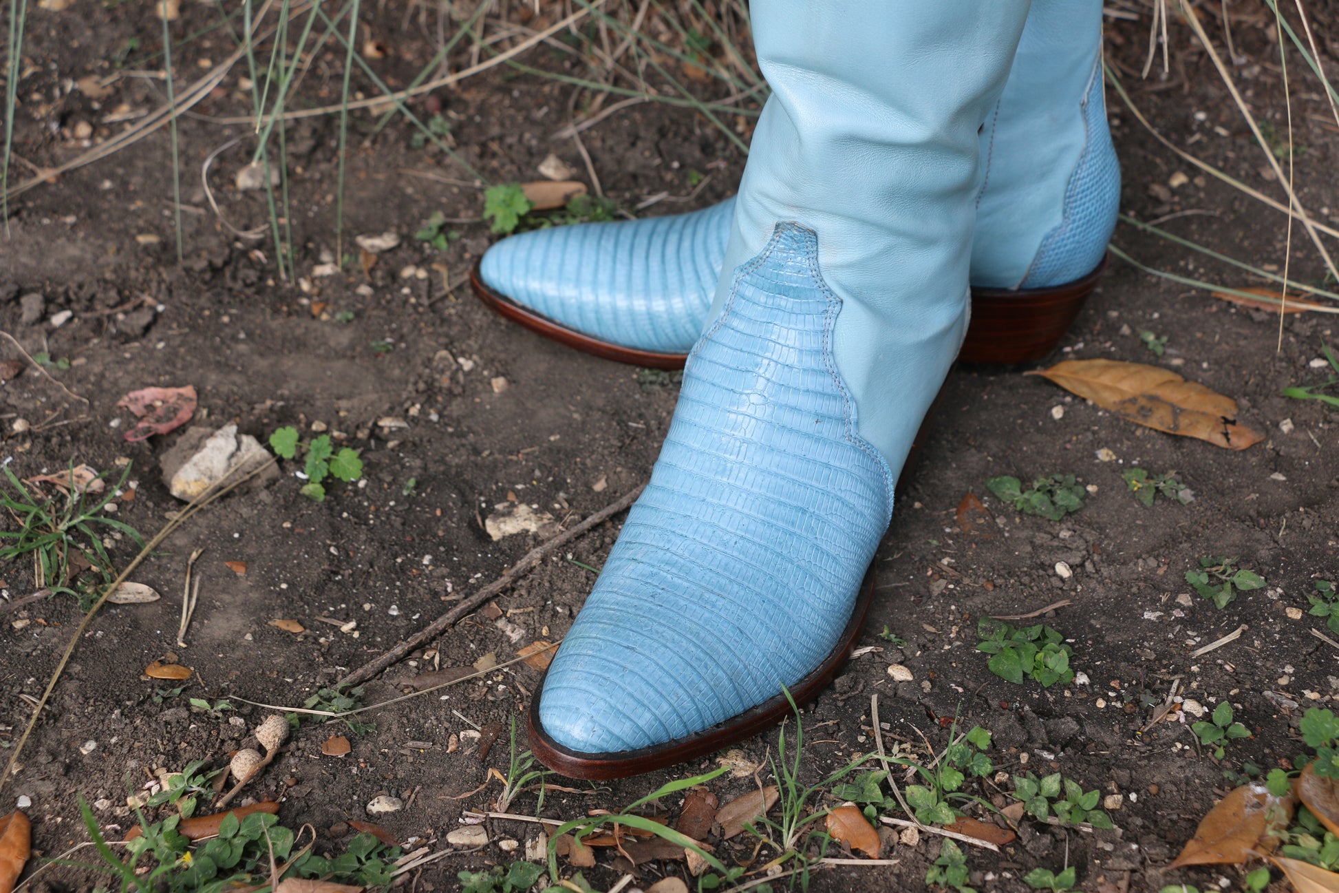 Lizard Tall Boots SHOES Mario Garcia