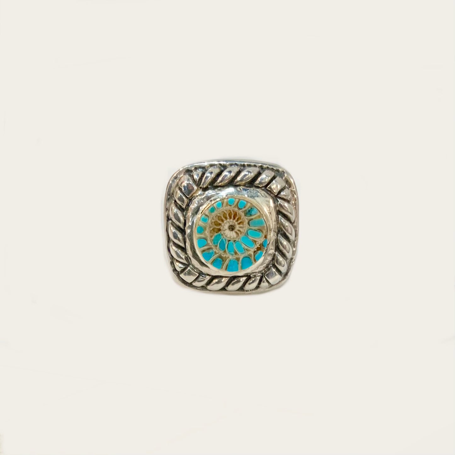 Ammonite with 14kt Gold Bezel Twisted Shank Ring Rings Dian Malouf   