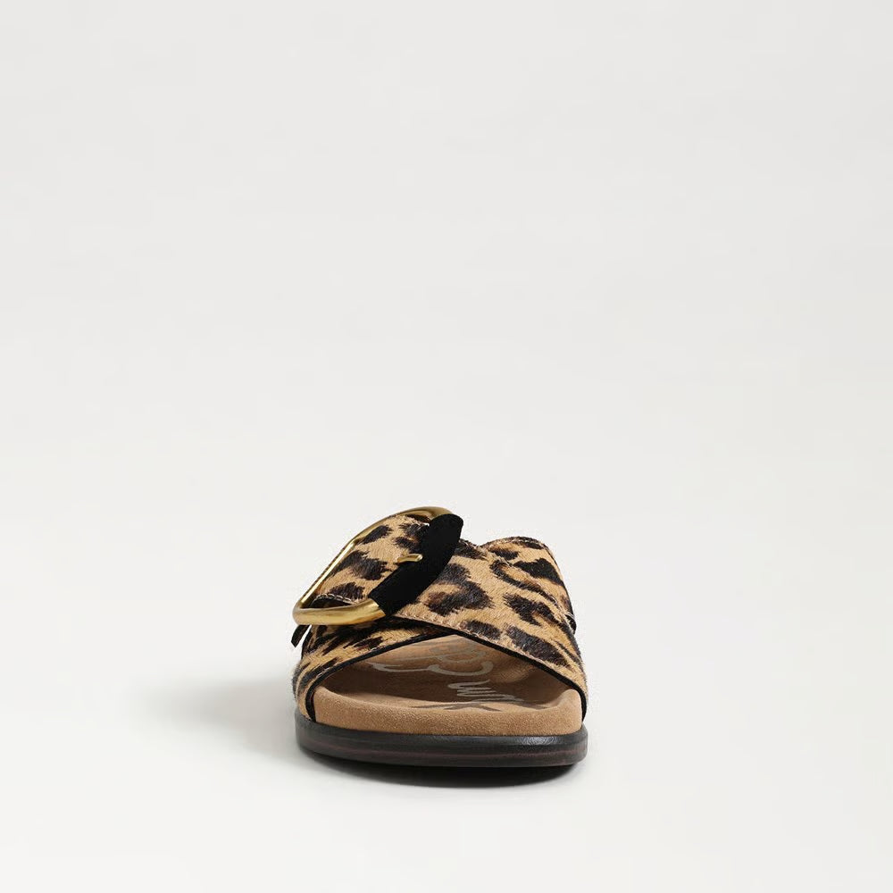 Darla Buckle Slide Sandal - Leopard Shoes Sam Edelman