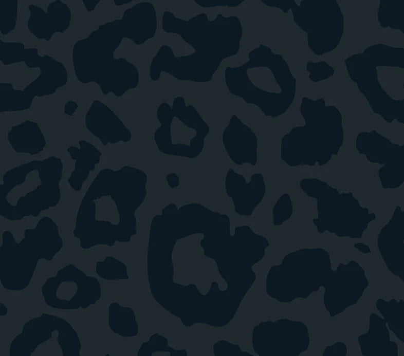 Charleston (Order in any color!) HANDBAGS Jon Hart Dark Leopard Coated Canvas