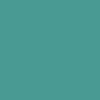 Clear Tall Boot Bag (Order in any color!) Boot Bag Jon Hart Teal Coated Canvas